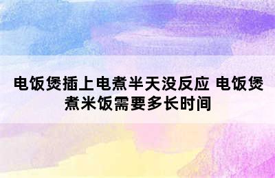 电饭煲插上电煮半天没反应 电饭煲煮米饭需要多长时间